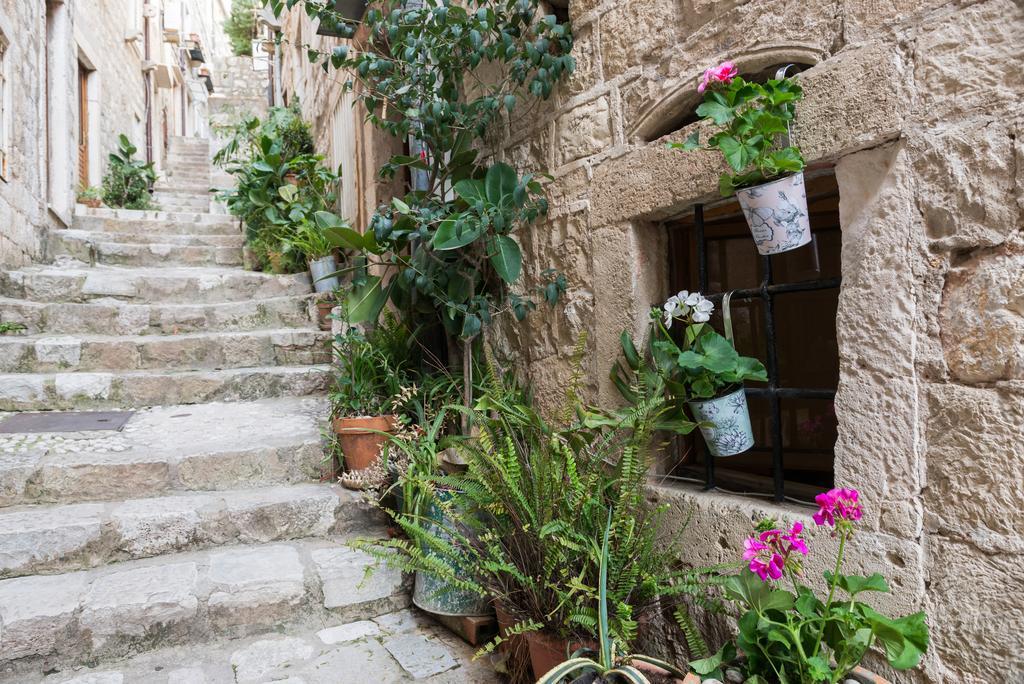 Apartments Divina Dubrovnik Eksteriør billede